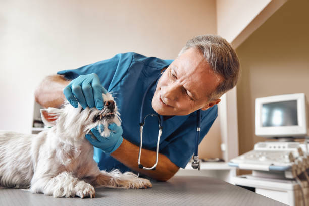 Best Emergency Tooth Extraction in World Golf Village, FL